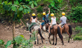 Horseback Riding