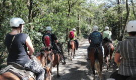 Adventure Between Two Rivers Colorado River Tubing - Horseback Riding